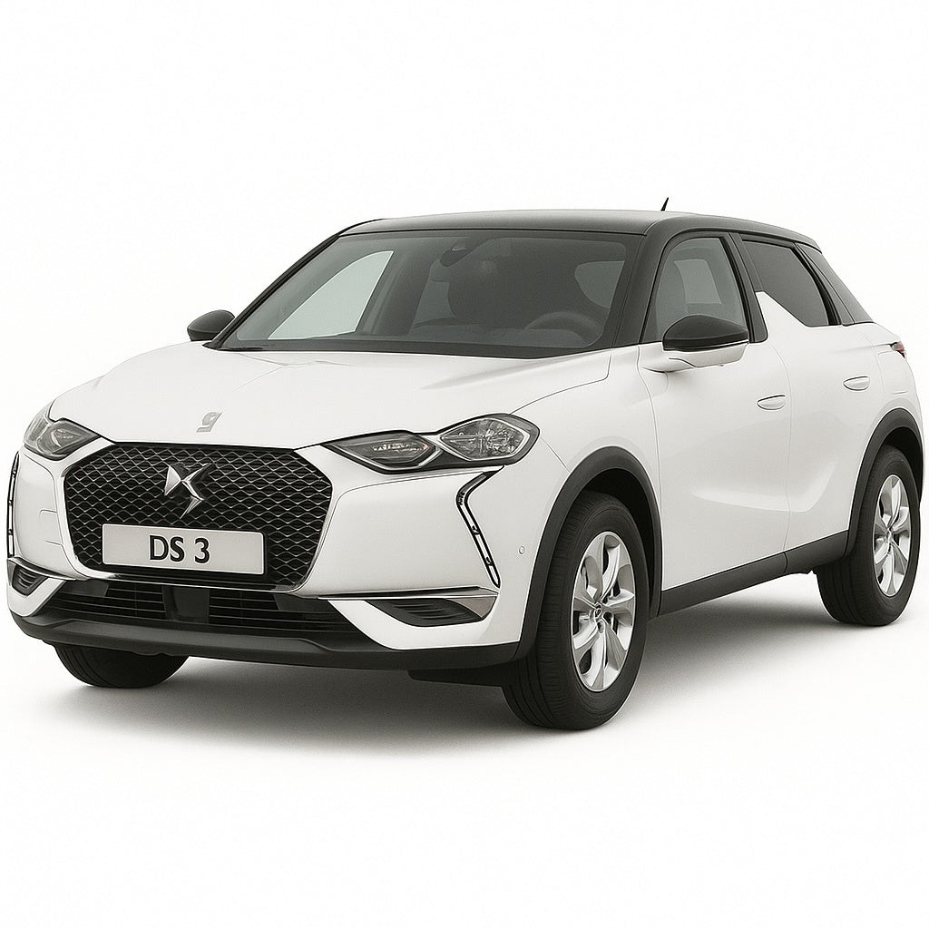 DS3