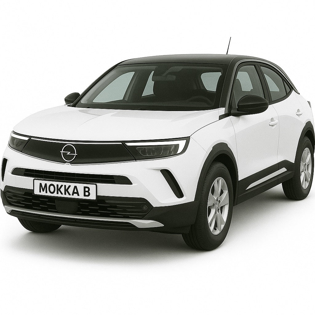 Mokka B
